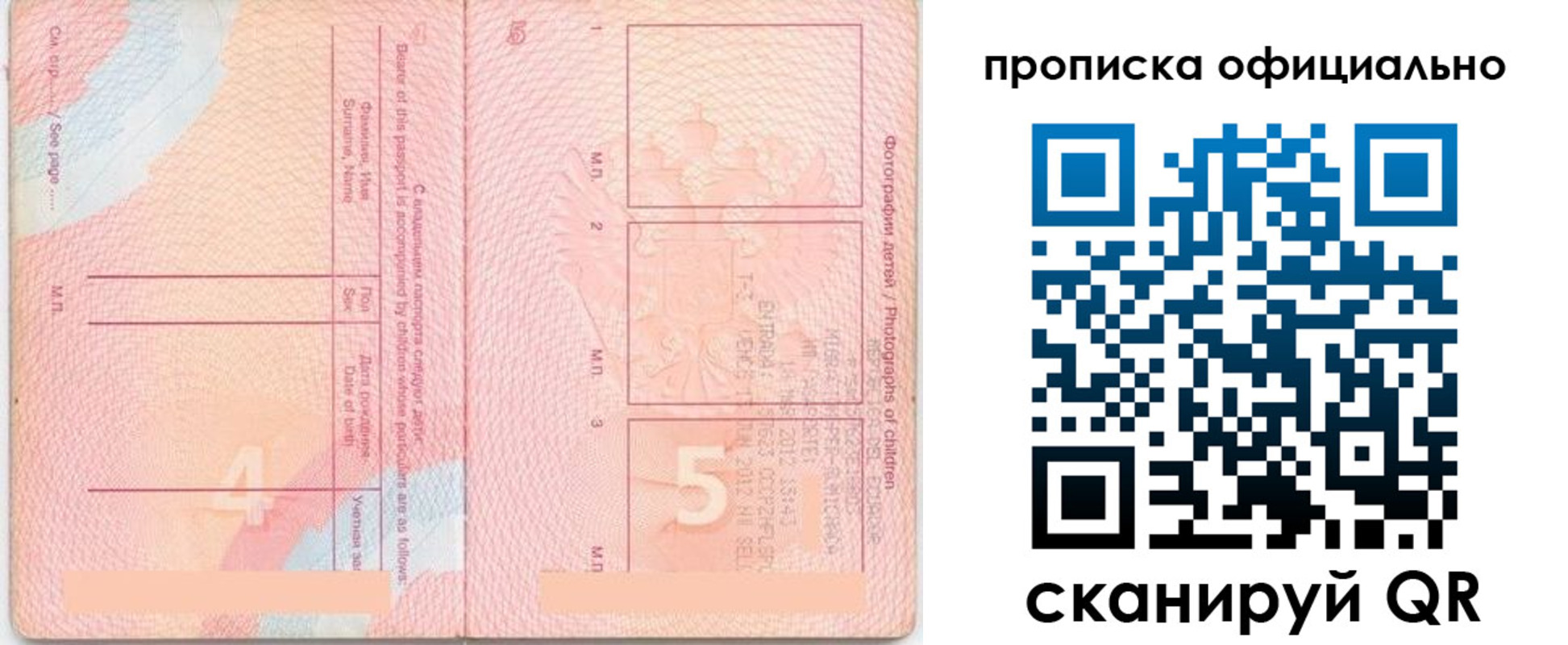прописка для школы в Фокино